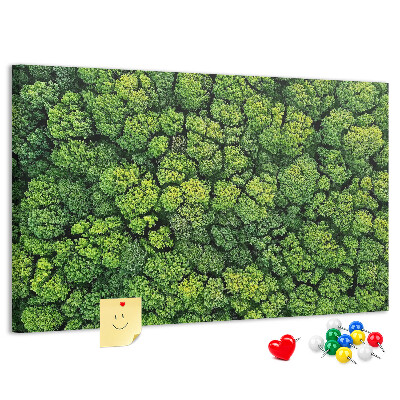 Cork memo board Forest from a bird's eye view