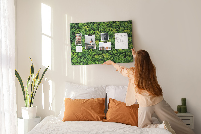 Cork memo board Forest from a bird's eye view