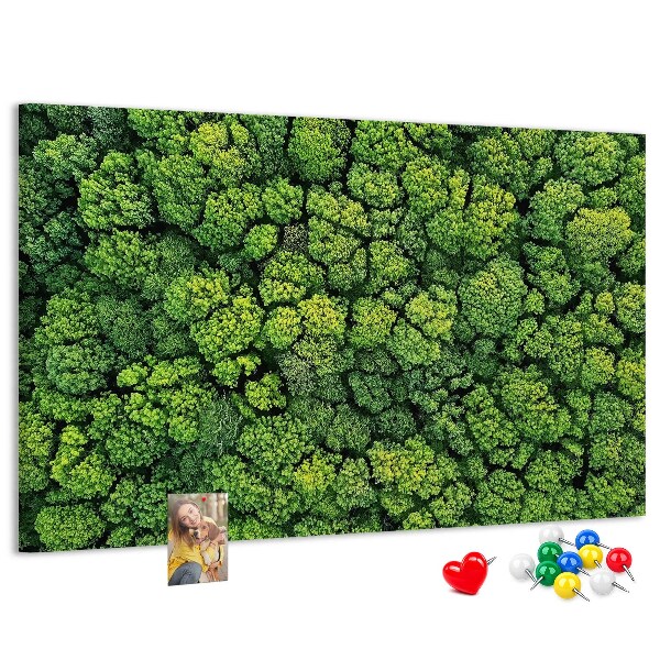 Cork memo board Forest from a bird's eye view