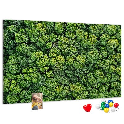 Cork memo board Forest from a bird's eye view