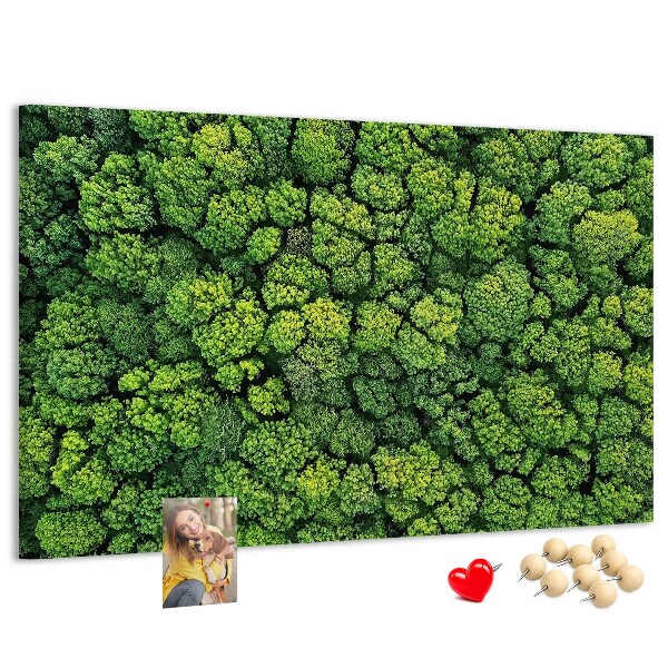 Cork memo board Forest from a bird's eye view