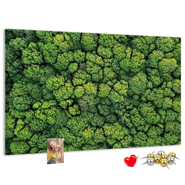 Cork memo board Forest from a bird's eye view