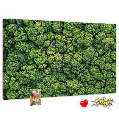 Cork memo board Forest from a bird's eye view