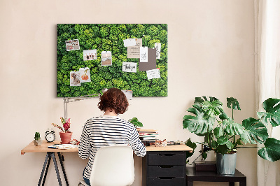 Cork memo board Forest from a bird's eye view