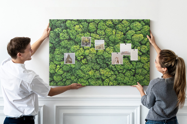 Cork memo board Forest from a bird's eye view