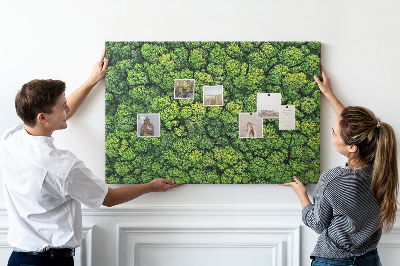 Cork memo board Forest from a bird's eye view