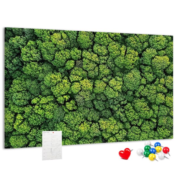 Cork memo board Forest from a bird's eye view