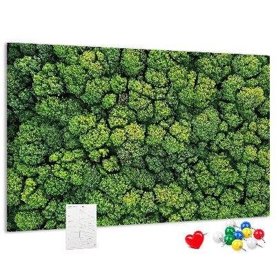 Cork memo board Forest from a bird's eye view