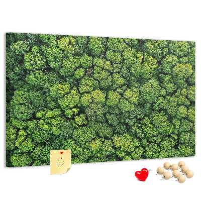 Cork memo board Forest from a bird's eye view