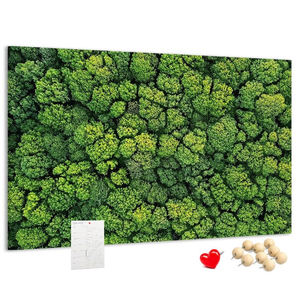 Cork memo board Forest from a bird's eye view