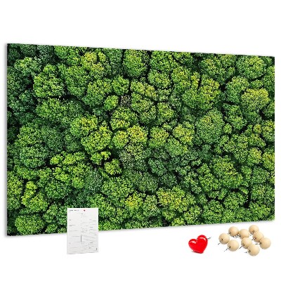 Cork memo board Forest from a bird's eye view