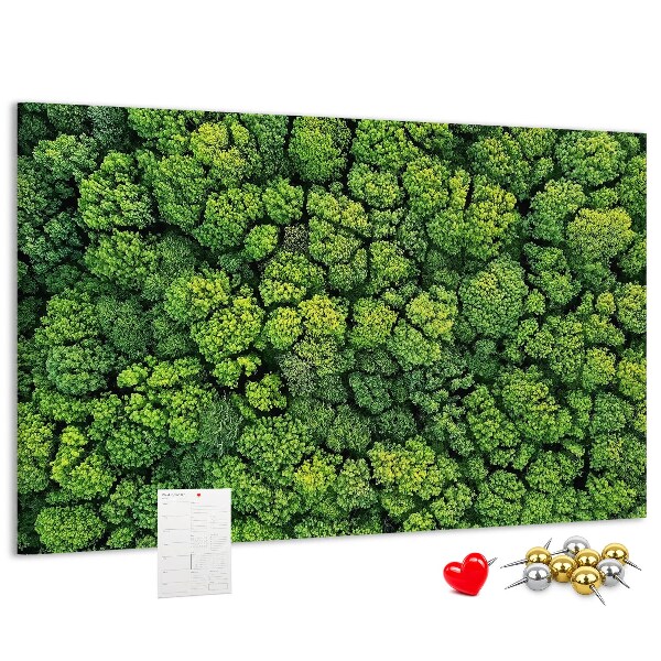 Cork memo board Forest from a bird's eye view