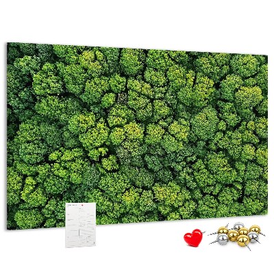 Cork memo board Forest from a bird's eye view