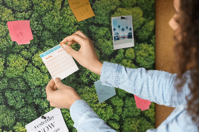 Cork memo board Forest from a bird's eye view