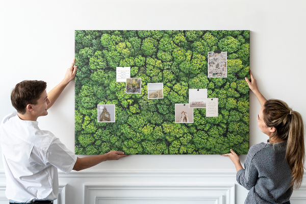 Cork memo board Forest from a bird's eye view