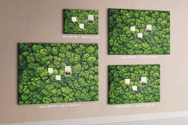 Cork memo board Forest from a bird's eye view