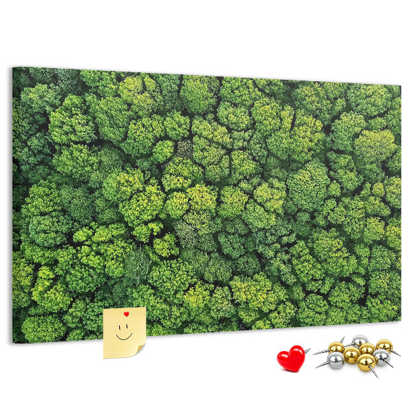 Cork memo board Forest from a bird's eye view