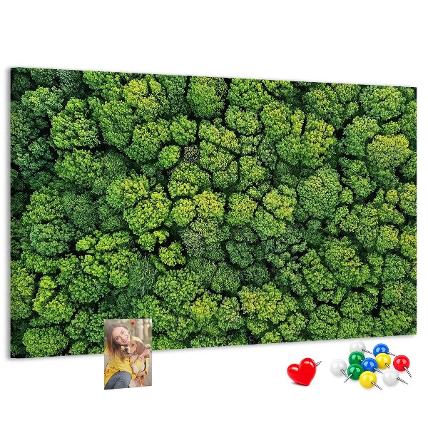 Cork memo board Forest from a bird's eye view