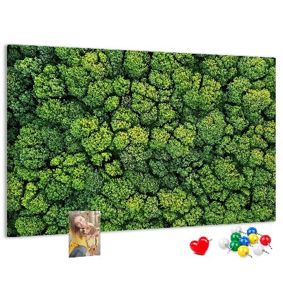 Cork memo board Forest from a bird's eye view