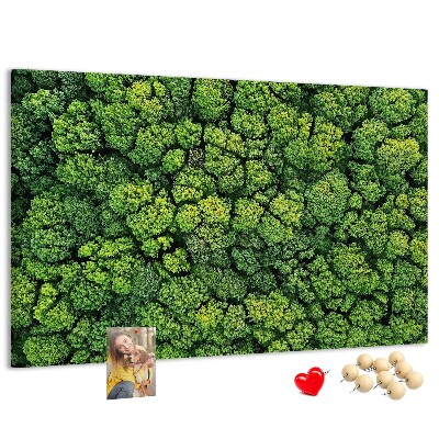 Cork memo board Forest from a bird's eye view