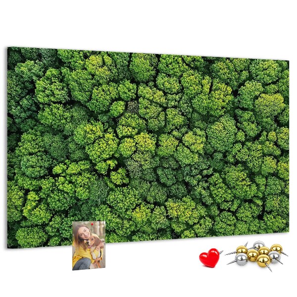 Cork memo board Forest from a bird's eye view