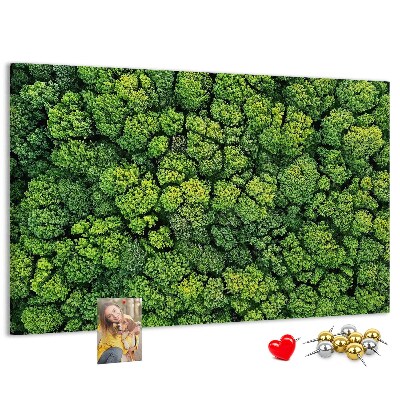 Cork memo board Forest from a bird's eye view