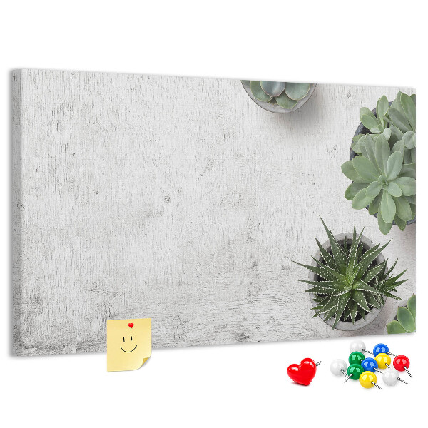 Cork display board Decorative plants