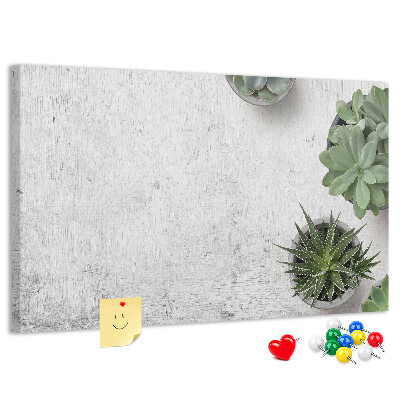 Cork display board Decorative plants