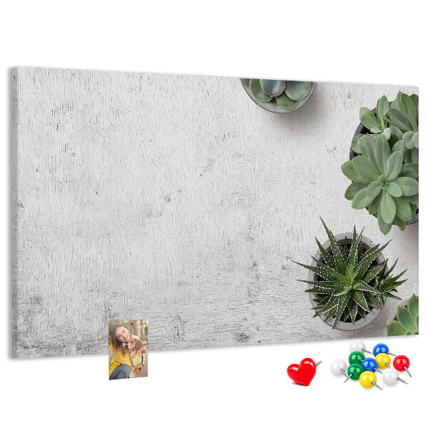Cork display board Decorative plants