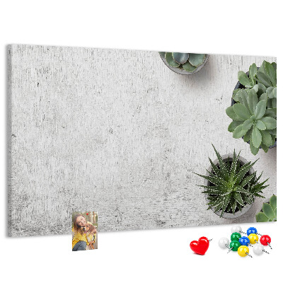 Cork display board Decorative plants