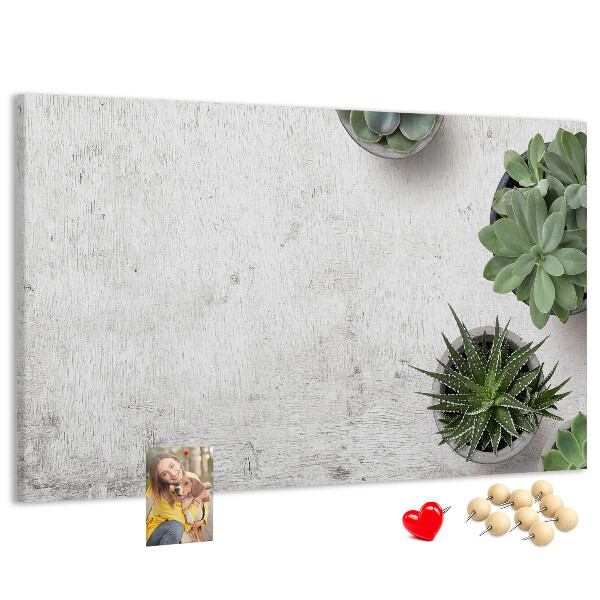 Cork display board Decorative plants