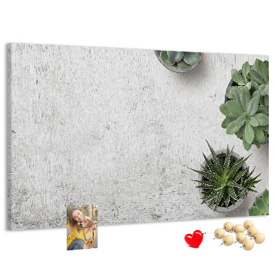Cork display board Decorative plants