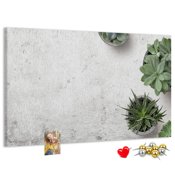 Cork display board Decorative plants