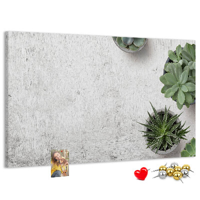 Cork display board Decorative plants