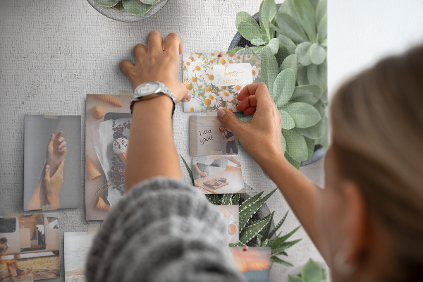 Cork display board Decorative plants