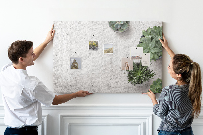 Cork display board Decorative plants