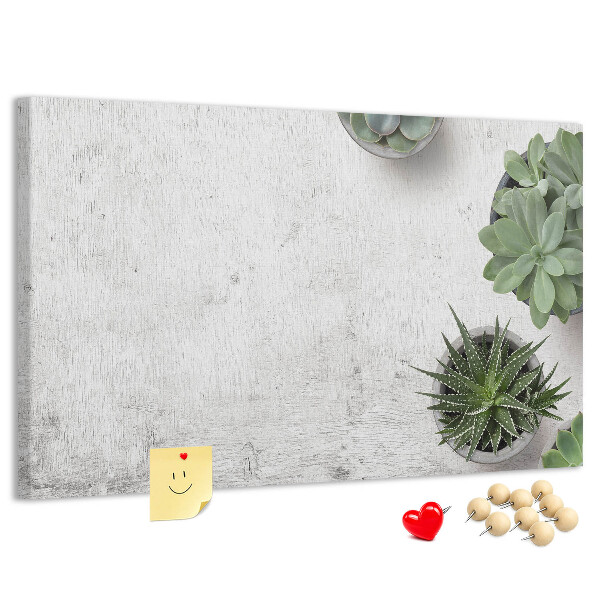 Cork display board Decorative plants