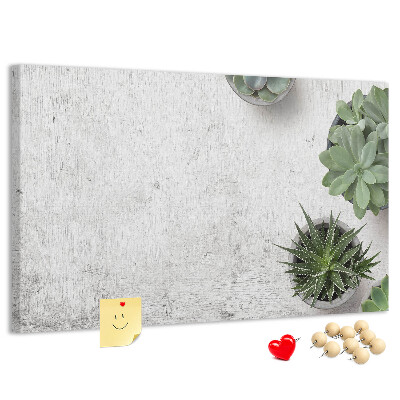 Cork display board Decorative plants