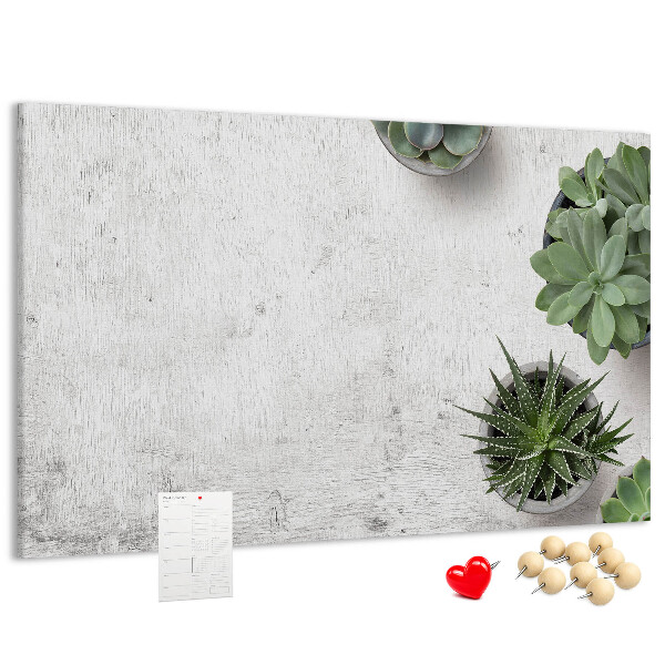 Cork display board Decorative plants