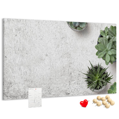 Cork display board Decorative plants