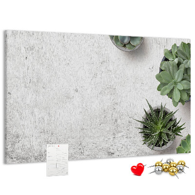 Cork display board Decorative plants