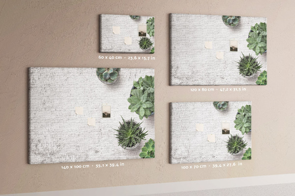 Cork display board Decorative plants