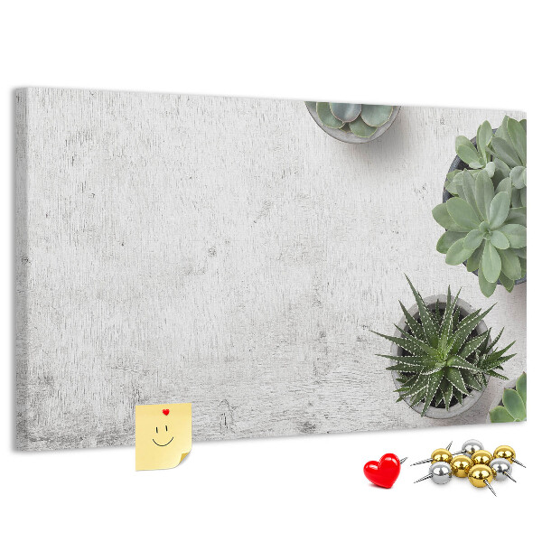 Cork display board Decorative plants