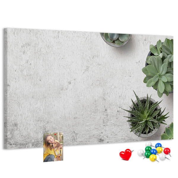 Cork display board Decorative plants