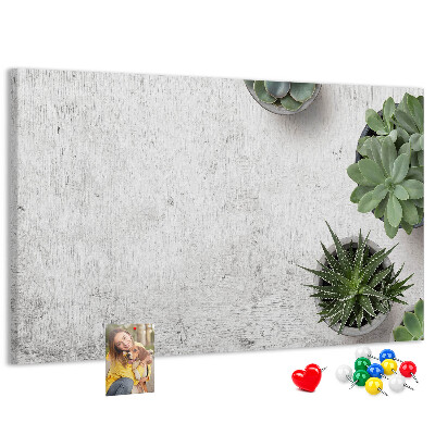 Cork display board Decorative plants