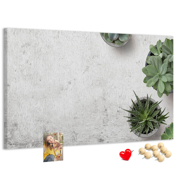 Cork display board Decorative plants