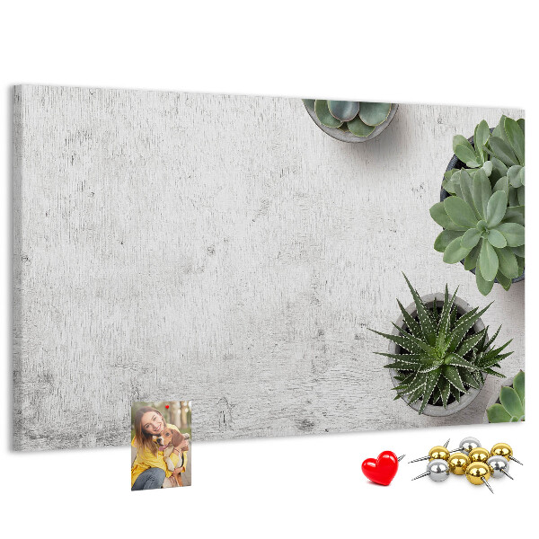 Cork display board Decorative plants