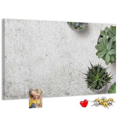 Cork display board Decorative plants