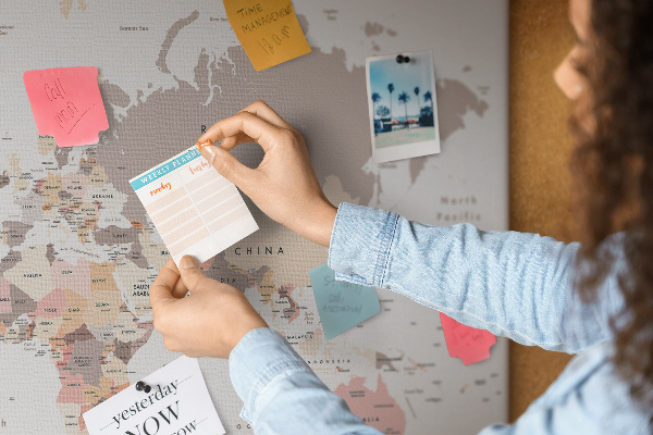 Cork board Detailed world map