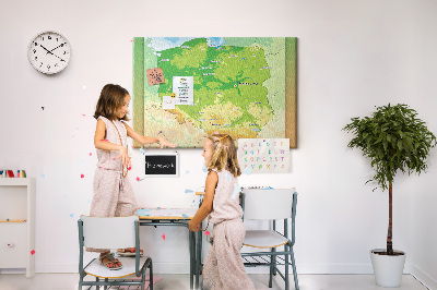 Cork memo board Physical map of Poland